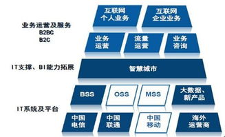 天源迪科（300047）更新研究報(bào)告 聚焦政企與運(yùn)營(yíng)商雙輪驅(qū)動(dòng)，深化軟件外包服務(wù)布局